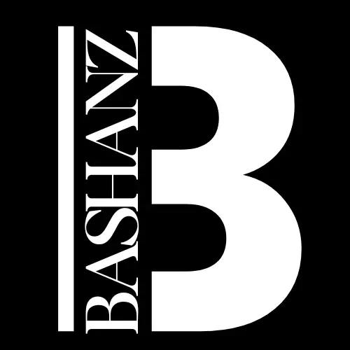 bashanz logo box best digital marketer in kasaragod
